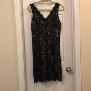 LOFT Black Lace Dress